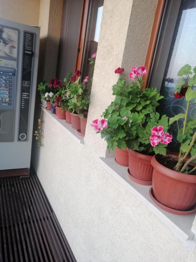 Villa Vega Σωζόπολη Εξωτερικό φωτογραφία